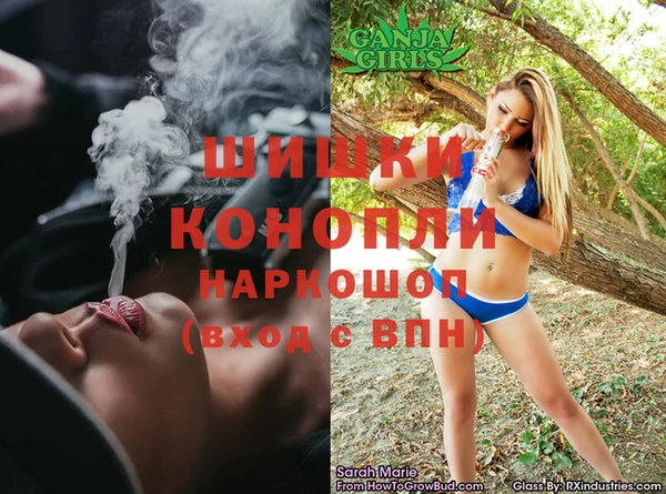ГАЛЛЮЦИНОГЕННЫЕ ГРИБЫ Баксан