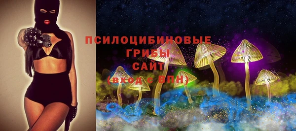 ГАЛЛЮЦИНОГЕННЫЕ ГРИБЫ Баксан