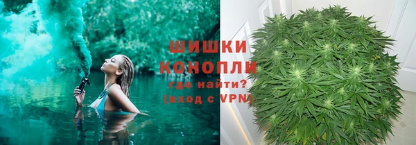 ПСИЛОЦИБИНОВЫЕ ГРИБЫ Балабаново