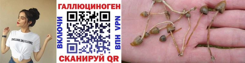 Псилоцибиновые грибы мухоморы  купить   Белинский 